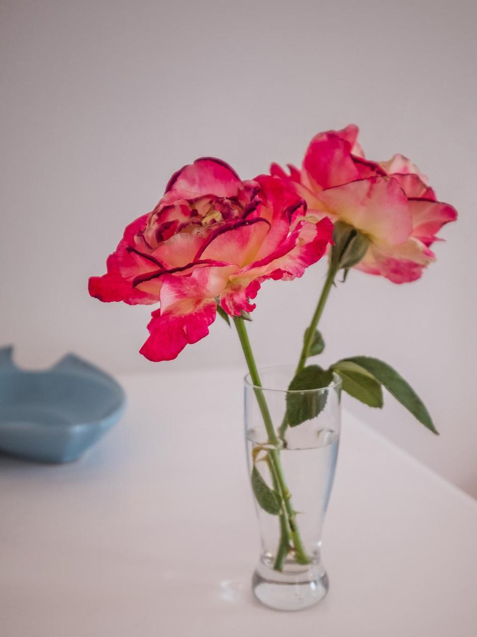 On The Bay Bed and Breakfast Port Elizabeth Buitenkant foto